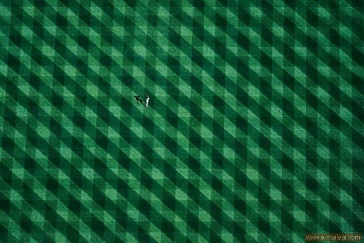 رجل يقف وحيدا في ملعب بنيوورك