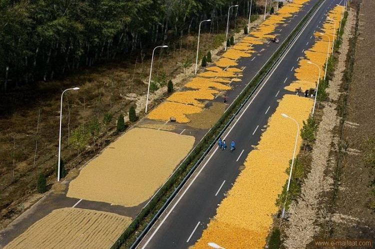 Drying corn on the highway from Beijing